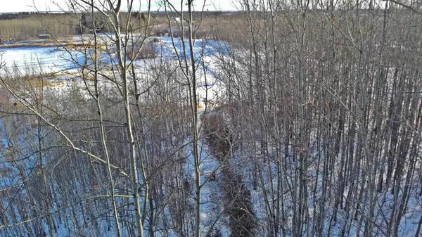 Lot 13 RR14, Rimbey, AB T0C 2J0