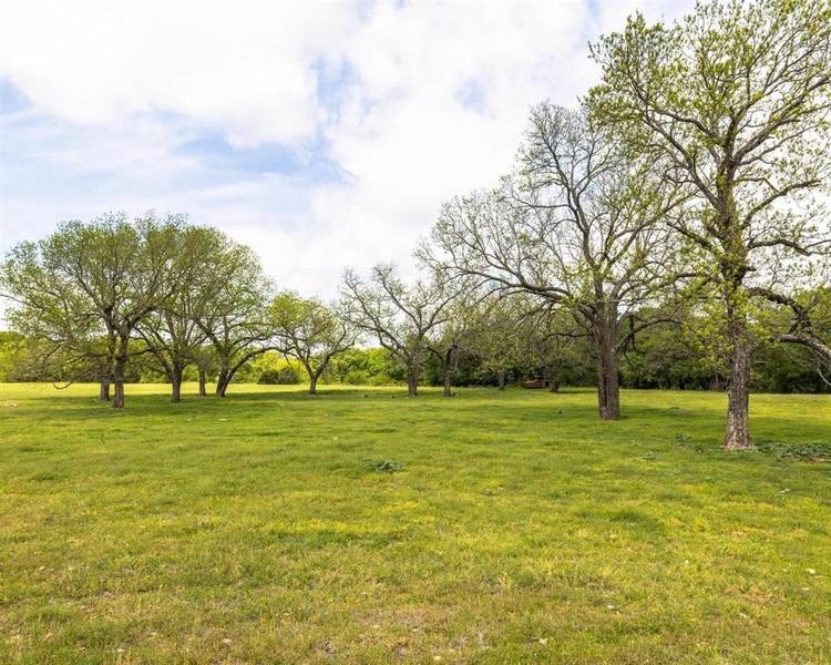 TBD County Road 160, Bluff Dale, TX 76433