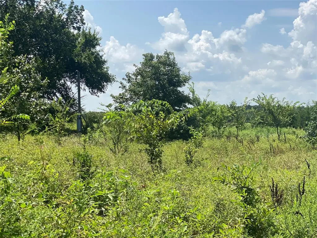 921 County Road 2285, Telephone, TX 75488