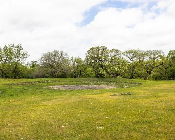 TBD County Road 160, Bluff Dale, TX 76433