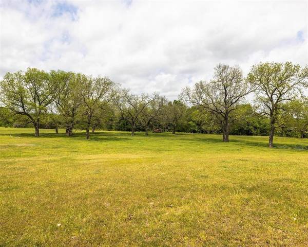 TBD County Road 160, Bluff Dale, TX 76433