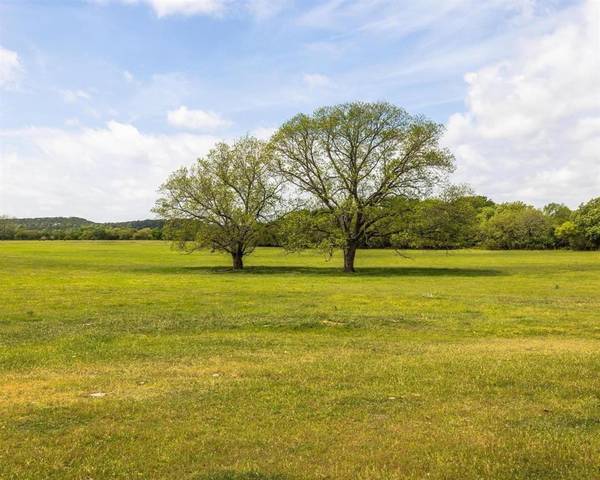 TBD County Road 160, Bluff Dale, TX 76433