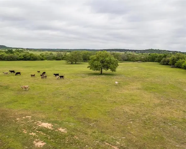 TBD County Road 160, Bluff Dale, TX 76433