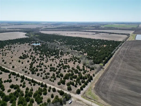 999 CR3805, Bailey, TX 75413