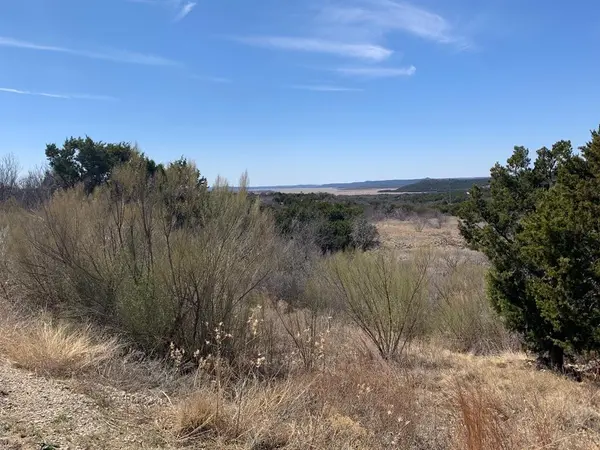1665 Caprock Court, Possum Kingdom Lake, TX 76449