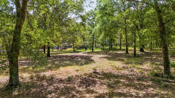 000 VZ County Road 4505, Ben Wheeler, TX 75754