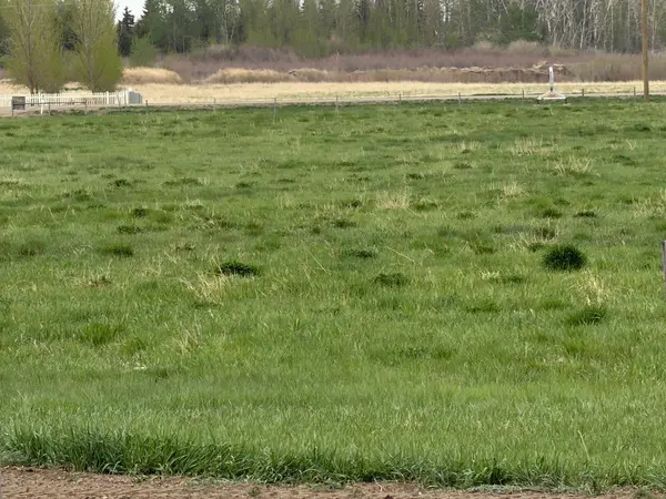 near Trans Canada Hwy 1 Acres, Rural Newell County Of, AB T1R 1C3