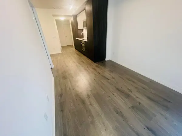 28 Widmer ST #3622, Toronto C01, ON M5V 0T2