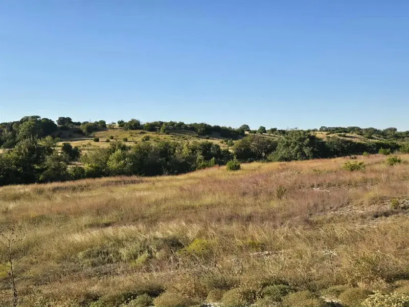 229 Grand Canyon Drive, Oglesby, TX 76561