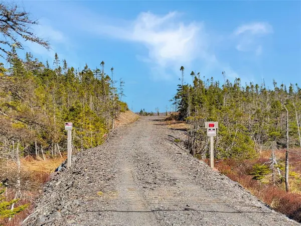 556 Salmonier Line, Salmonier, NL A0A 2R0