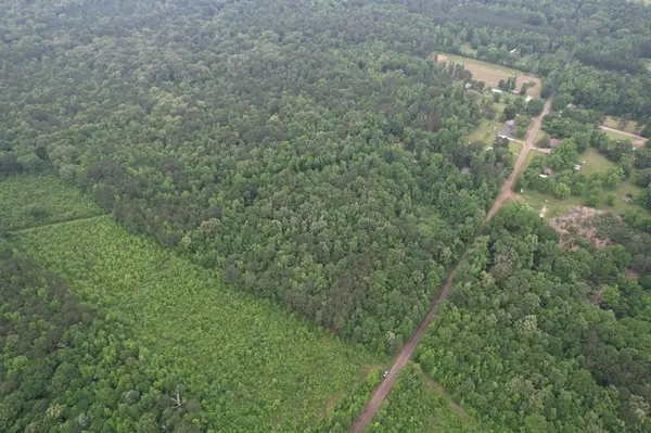 TBD County Road 3659, Queen City, TX 75572