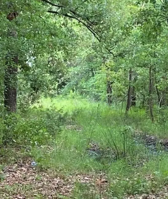 0 Hwy 175, Mabank, TX 75147