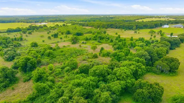 TBD Hcr 1432 #39.8 Acres, Covington, TX 76636
