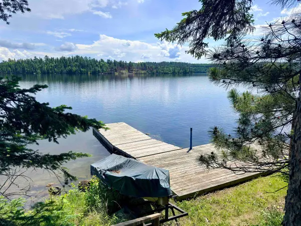 Lot 21,22 Price RD, Kenora Remote Area, ON P0X 1C0
