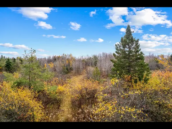 429560 8th B Concession, Grey Highlands, ON N0C 1M0
