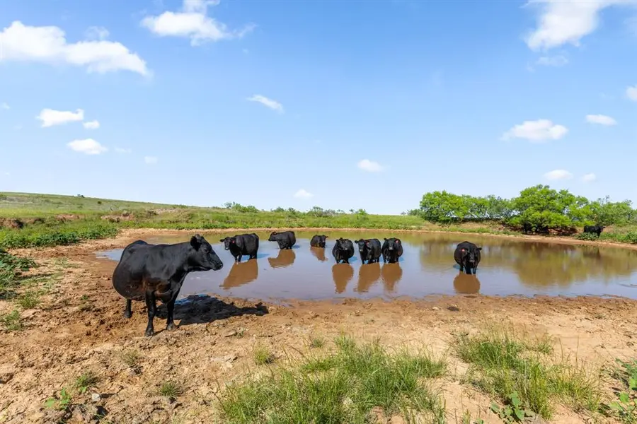 TBD Dutton, Ringgold, TX 76261