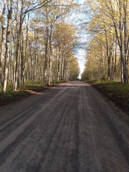 55 Post RD, Centre Hastings, ON K0K 3H0