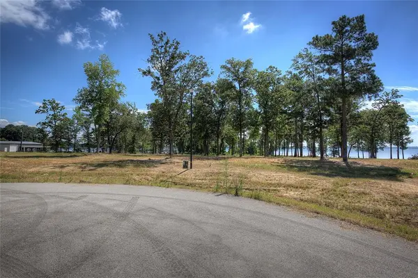 20609 Wycliff Drive, Chandler, TX 75758