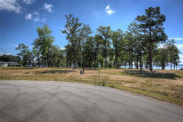 20609 Wycliff Drive, Chandler, TX 75758