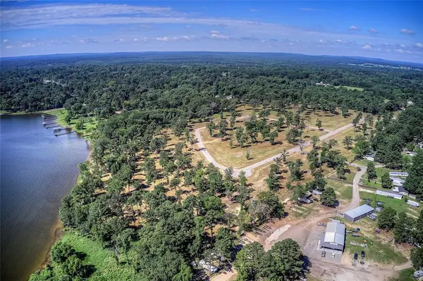 20609 Wycliff Drive, Chandler, TX 75758