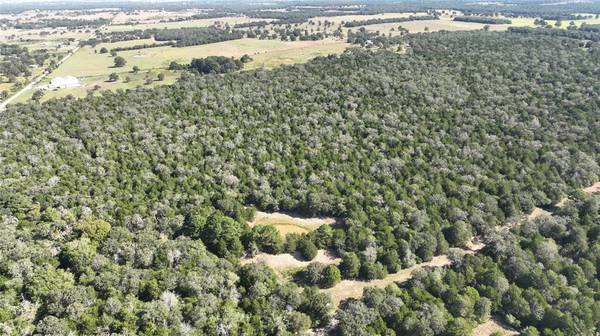 000 Easley, Smithville, TX 78957
