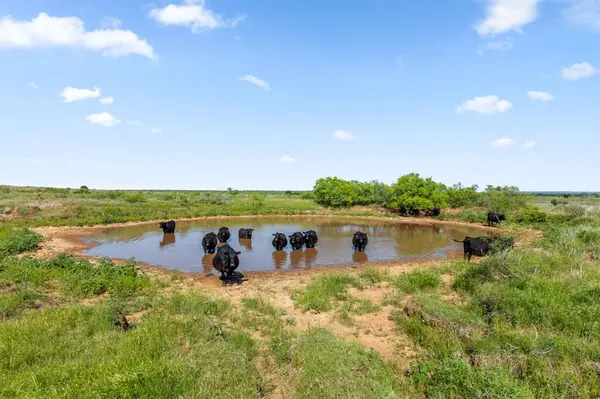 TBD Dutton, Ringgold, TX 76261