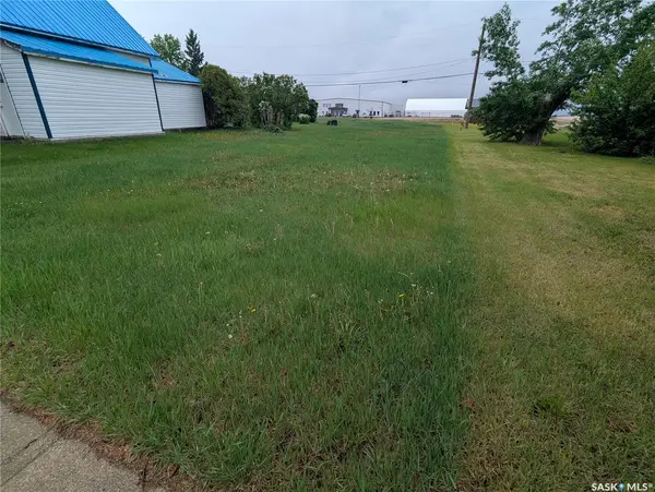 209 Lerew STREET, Vonda, SK S0K 4N0