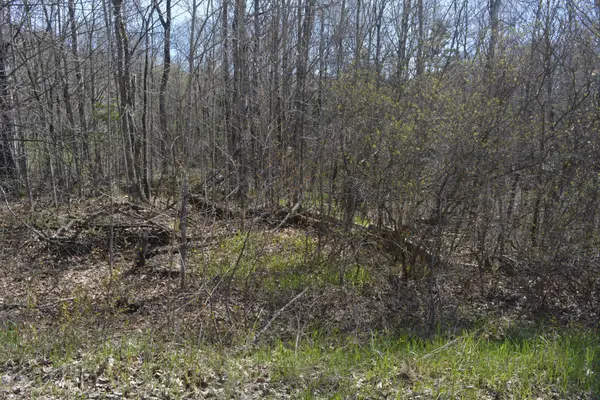 0 Sucie RD, Highlands East, ON K0L 2A0