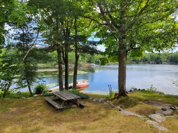 20 SR404 Severn River N/A, Muskoka Lakes, ON L0K 1E0