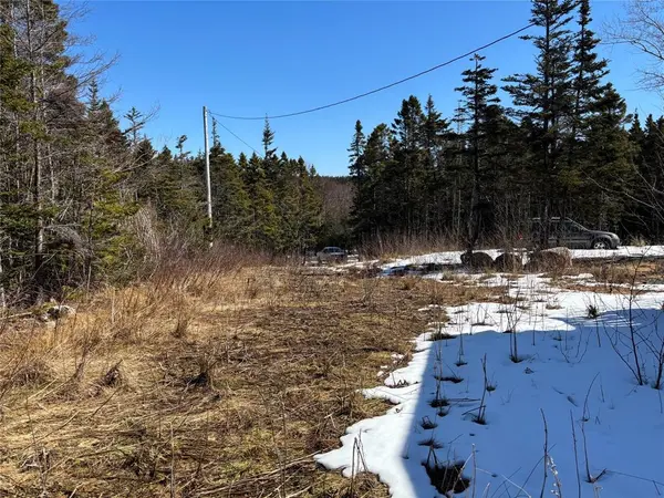 177 Island Pond Road, Spread Eagle, NL A0B 1L0