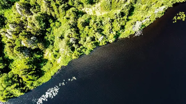8 Copperhead Road, Portugal Cove - St. Phillips, NL A1M2V3