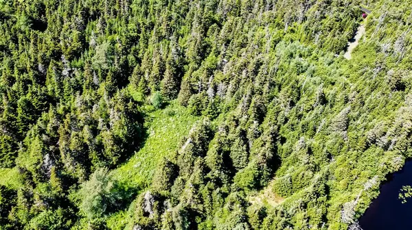 8 Copperhead Road, Portugal Cove - St. Phillips, NL A1M2V3