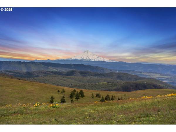 232 ODA KNIGHT RD, Lyle, WA 98635