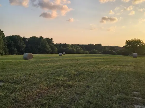 20086 County Road 299, Arp, TX 75750
