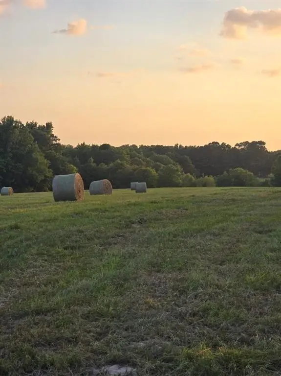 20086 County Road 299, Arp, TX 75750