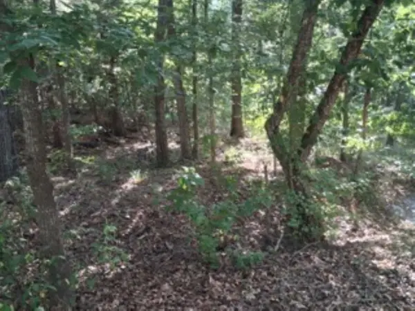 tbd Summit Ridge, Murchison, TX 75778
