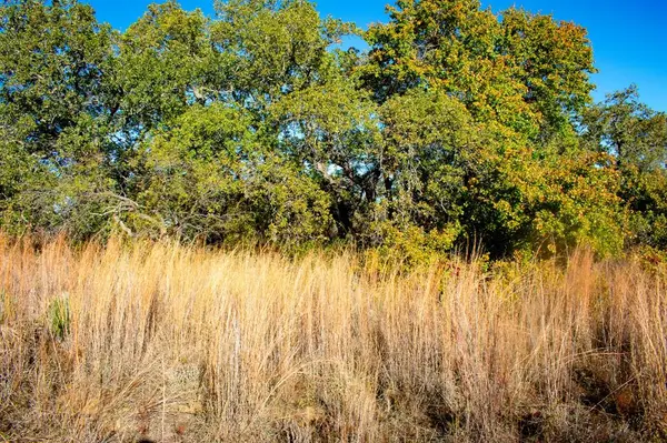 TBD FM 45, San Saba, TX 76877