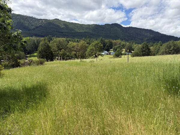257 BOWLER LN, Oakland, OR 97462