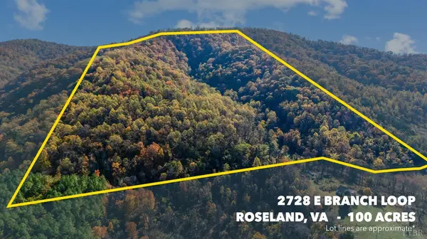 2728 E Branch Loop, Roseland, VA 22967