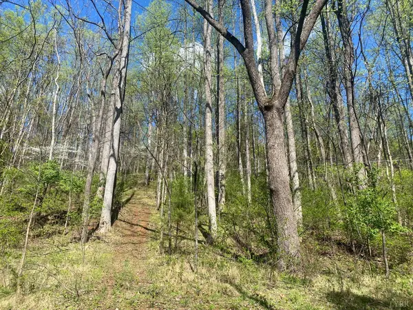 2728 E Branch Loop, Roseland, VA 22967