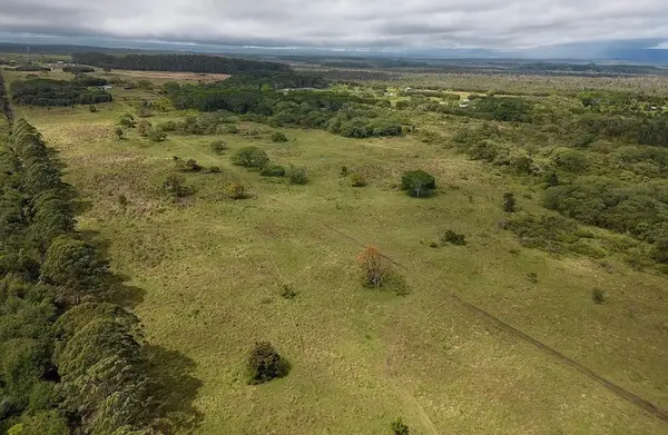 17-4800 SOUTH ROAD, Kurtistown, HI 96760