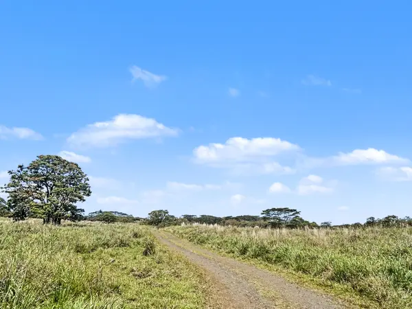 17-4800 SOUTH ROAD, Kurtistown, HI 96760