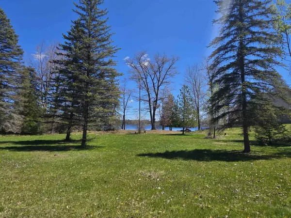 00 Bliss RD, Plainfield Twp, MI 48739