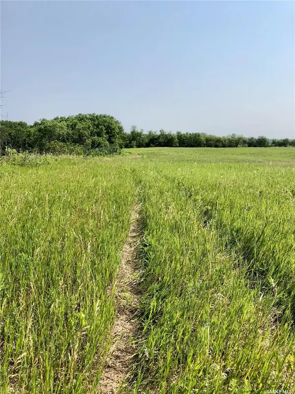 Rural Address, Livingston Rm No. 331, SK S0A 2Z0