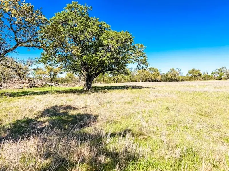 TBD Tract 4 County Road 930, Teague, TX 75860