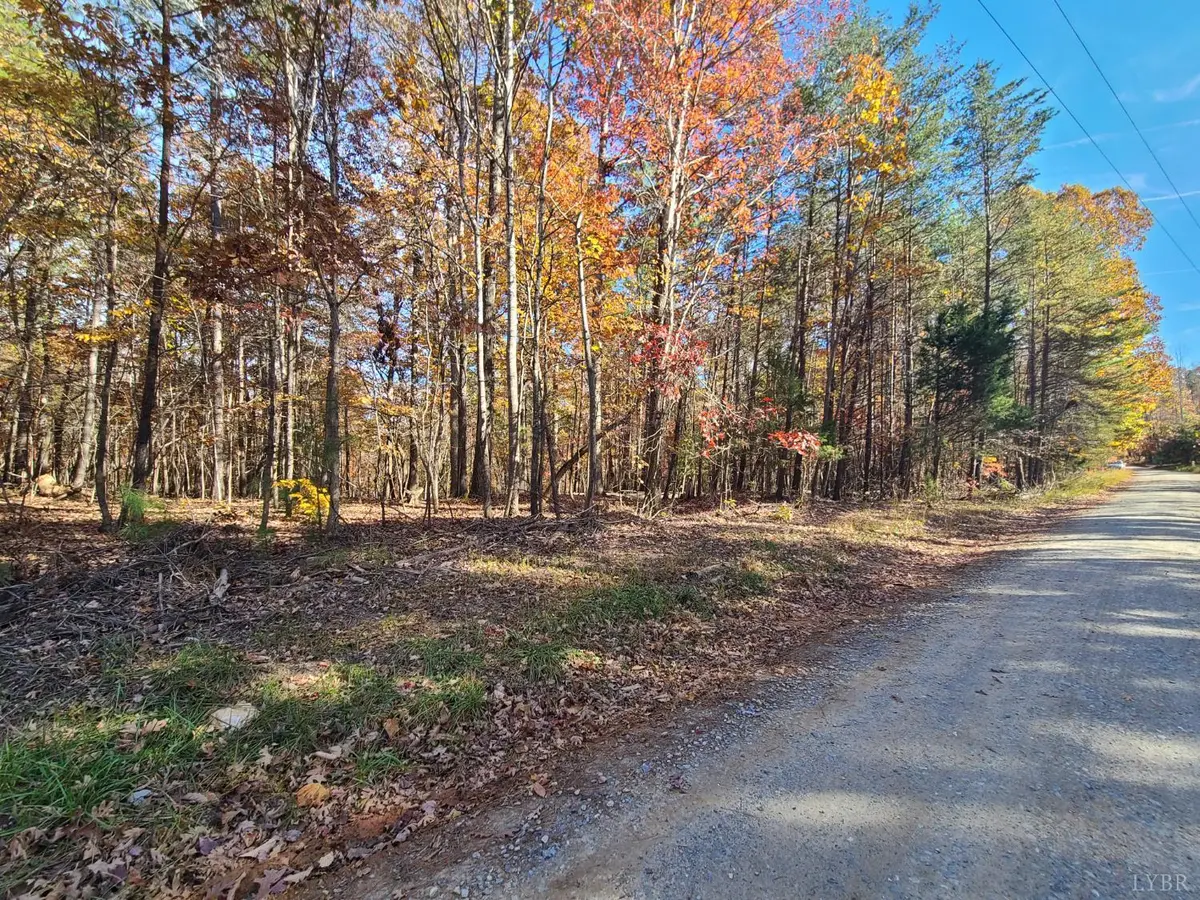 0 Ashwell Ridge DR #Lot 29, Huddleston, VA 24104