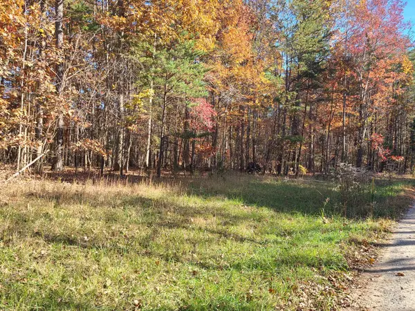 0 Ashwell Ridge DR #Lot 29, Huddleston, VA 24104