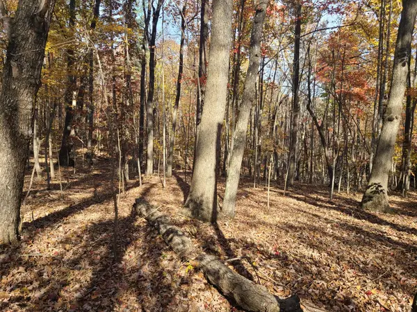 0 Ashwell Ridge DR #Lot 29, Huddleston, VA 24104