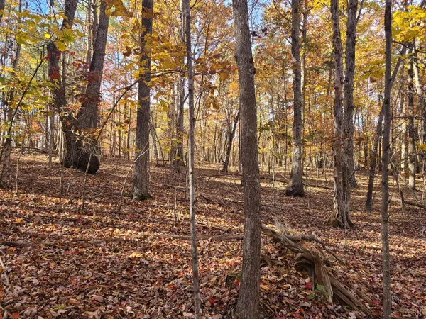 0 Ashwell Ridge DR #Lot 29, Huddleston, VA 24104