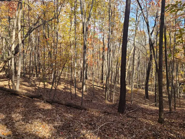 0 Ashwell Ridge DR #Lot 29, Huddleston, VA 24104